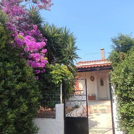 Olive Grove Cottage Skalani Knossós Екстериор снимка