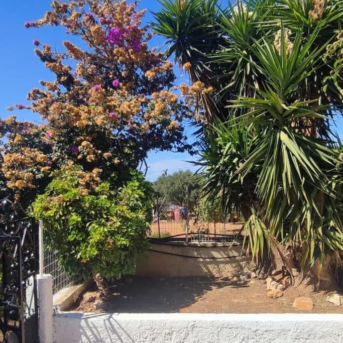 Olive Grove Cottage Skalani Knossós Екстериор снимка