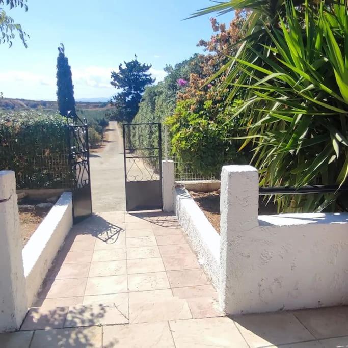 Olive Grove Cottage Skalani Knossós Екстериор снимка