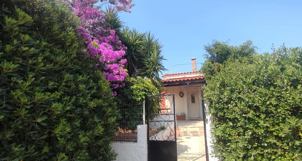 Olive Grove Cottage Skalani Knossós Екстериор снимка