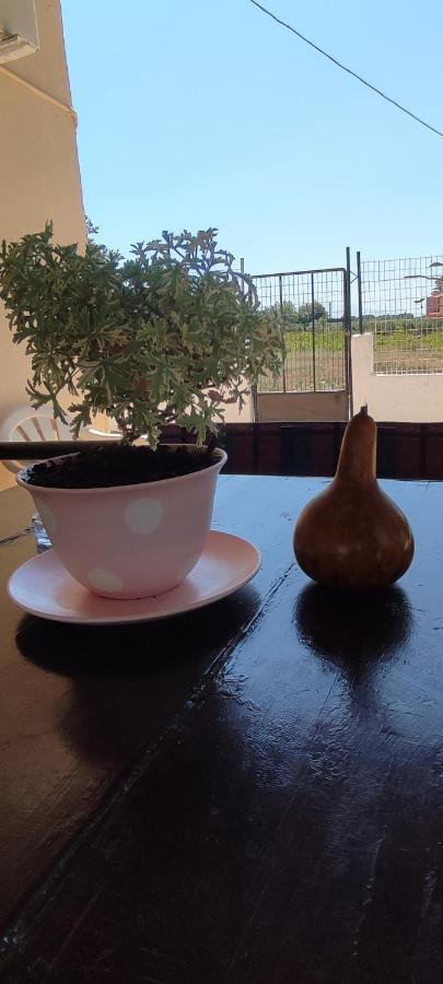 Olive Grove Cottage Skalani Knossós Екстериор снимка